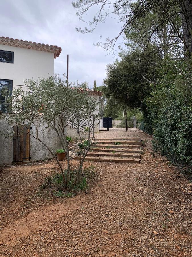 Magnifique Villa Classee 4* Meuble De Tourisme Flassans-sur-Issole Eksteriør bilde
